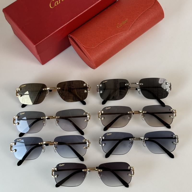 Cartier Sunglasses